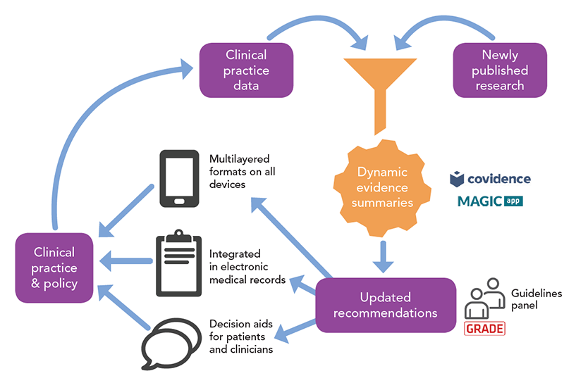 Diagram of how the evidence summaries turn newly published research and clinical practice data into updated recommendations, which then feed into clinical practice and policy