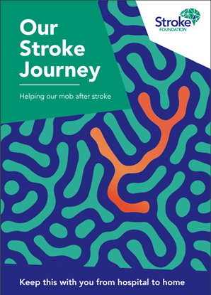 our stroke journey cover